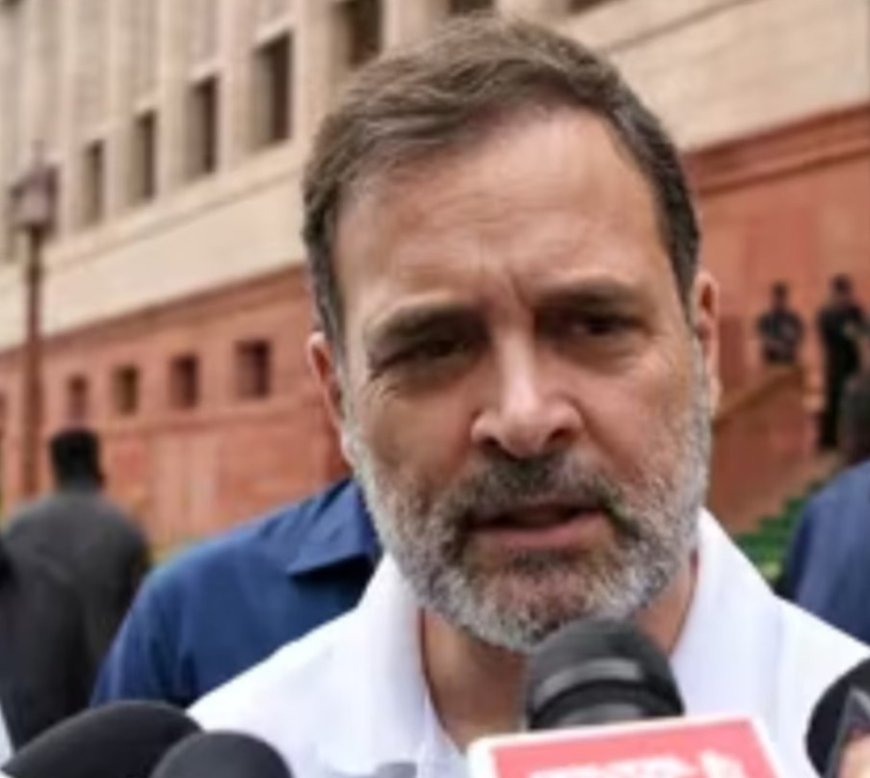 ‘ভারতের অর্থনীতি মৃত, মোদি তাকে খুন করেছেন', ট্রাম্পের সুরে সুর মিলিয়ে মোদিকে তোপ রাহুলের