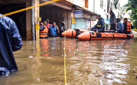 প্রবল বৃষ্টিতে বিপর্যস্ত, মৃত ২৫২