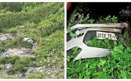 নিয়ন্ত্রণ হারিয়ে খাদে যাত্রীবোঝাই গাড়ি, হিমাচলে মৃত একই পরিবারের ৫