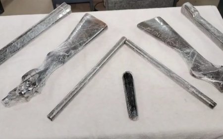 নরেন্দ্রপুর হত্যাকাণ্ডে বড় সাফল্য,  কলাবাগান থেকে উদ্ধার আগ্নেয়াস্ত্র