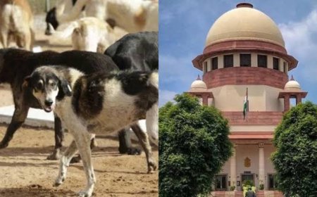 পথপুকুরদের নিয়ে পুরনো রায় সংশোধন সুপ্রিম কোর্টের