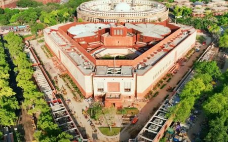 ফের নিরাপত্তায় গলদ, সংসদের দেওয়াল টপকে ঢুকে পড়ল অজ্ঞাতপরিচয় ব্যক্তি