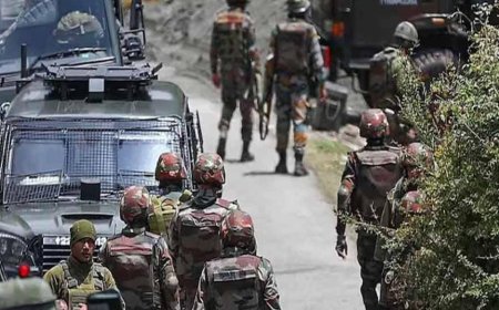 সন্ত্রাসবাদী কার্যকলাপে জড়িত থাকার অভিযোগে বরখাস্ত কাশ্মীর সরকারের ২ কর্মী