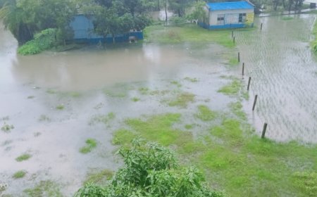 ভারী বর্ষণে পাথরপ্রতিমার বিস্তীর্ণ এলাকা জলমগ্ন, নদীবাঁধে ফাটল