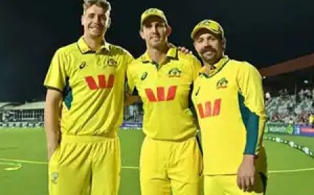 দক্ষিণ আফ্রিকাকে রেকর্ড রানে হারিয়ে একগুচ্ছ নজির অজিদের