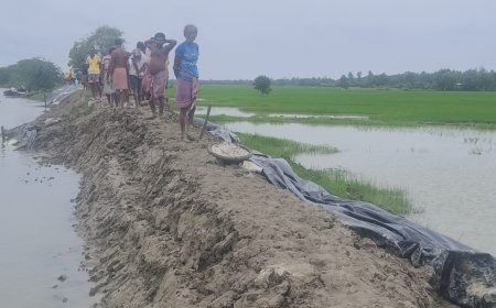 অমাবস্যার কোটালে জোয়ারে নদীর জল বাড়তেই বাঁধে ধস, আতঙ্কে এলাকাবাসী