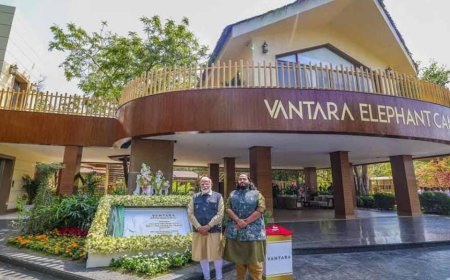 আম্বানির ‘বনতারা' র বিরুদ্ধে সিট গঠনের নির্দেশ সুপ্রিম কোর্টের