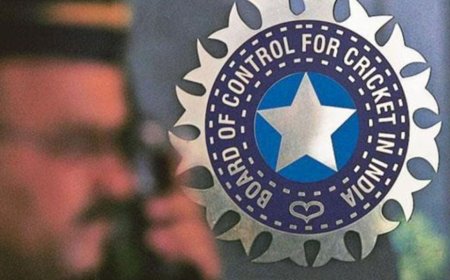 বিসিসিআইয়ের টাইটেল স্পনসর হতে চলেছে বিদেশি সংস্থা