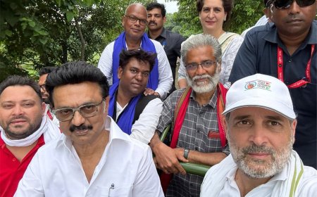 রাহুলের যাত্রায় ‘বিহার বিরোধী’, ‘হিন্দু বিরোধী’ স্ট্যালিন, আক্রমণ বিজেপির