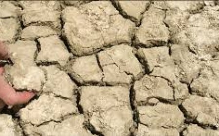 মাটির তলা থেকে ভেসে আসছে রহস্য জনক আওয়াজ, এই আওয়াজ ঘিরে চাঞ্চল্য পূর্ব বর্ধমানে