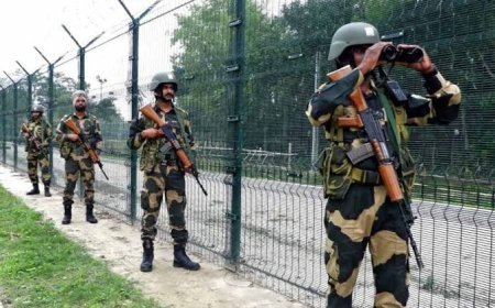 গাড়ির ট্যাঙ্কির ভিতর রুপোর গয়না ভরে বাংলাদেশে পাচারের চেষ্টা রুখলো বিএসএফ, জালে পাচারকারী