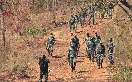 বস্তারে আত্মসমর্পণ ৩০ মাওবাদীর