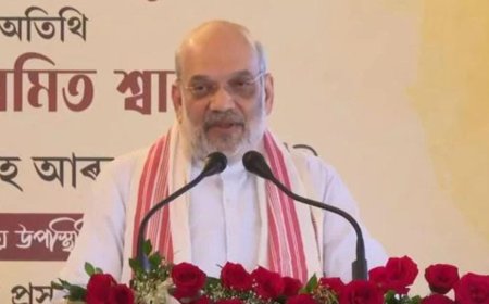 ভোটাধিকার নয়, ওটা অনুপ্রবেশকারী বাঁচাও যাত্রা, তোপ শাহের