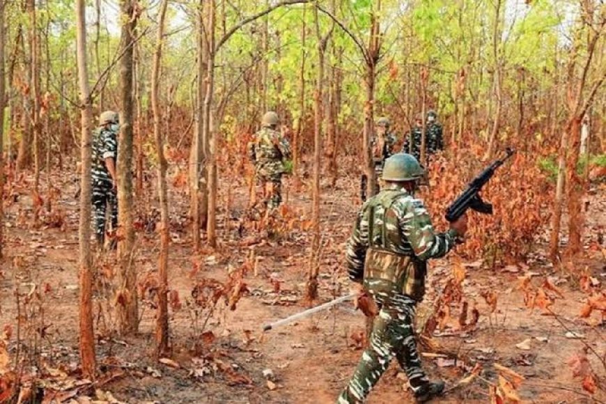 ফের বড় সাফল্য, ঝাড়খণ্ডে খতম শীর্ষ মাও নেতা, ছত্তিশগড়ে খতম আরও এক মাওবাদী