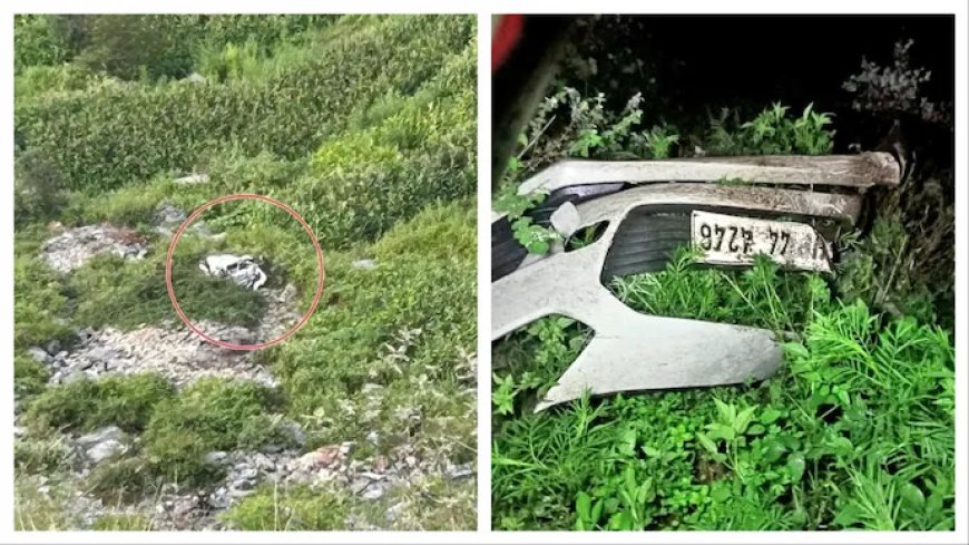 নিয়ন্ত্রণ হারিয়ে খাদে যাত্রীবোঝাই গাড়ি, হিমাচলে মৃত একই পরিবারের ৫