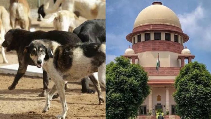 পথপুকুরদের নিয়ে পুরনো রায় সংশোধন সুপ্রিম কোর্টের