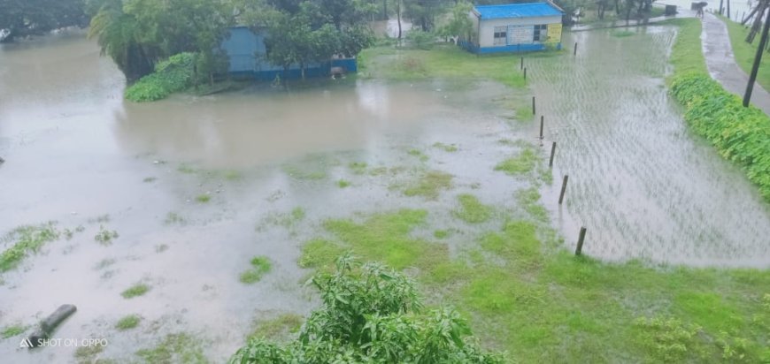 ভারী বর্ষণে পাথরপ্রতিমার বিস্তীর্ণ এলাকা জলমগ্ন, নদীবাঁধে ফাটল