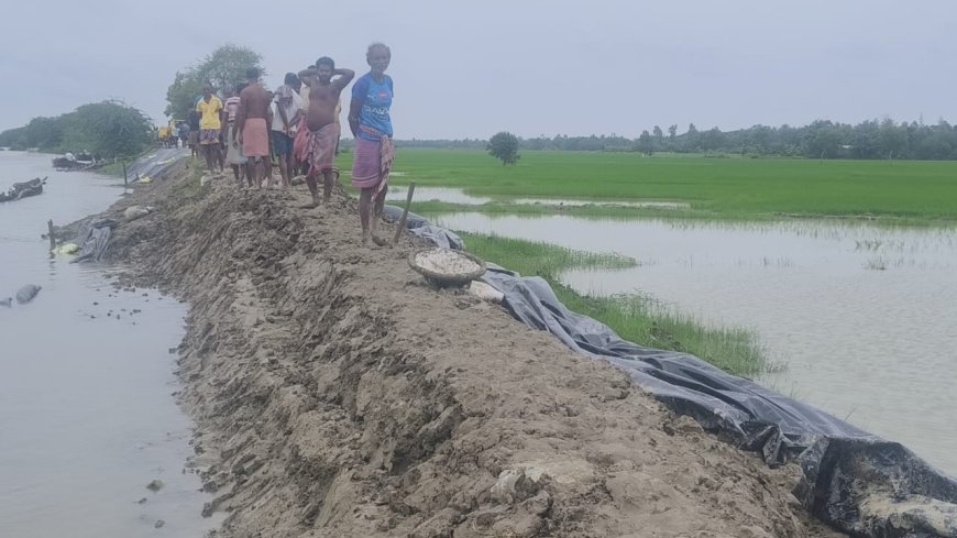অমাবস্যার কোটালে জোয়ারে নদীর জল বাড়তেই বাঁধে ধস, আতঙ্কে এলাকাবাসী