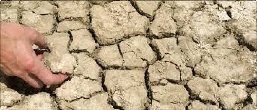 মাটির তলা থেকে ভেসে আসছে রহস্য জনক আওয়াজ, এই আওয়াজ ঘিরে চাঞ্চল্য পূর্ব বর্ধমানে