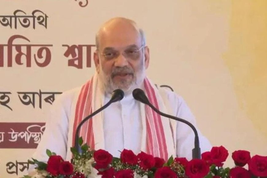 ভোটাধিকার নয়, ওটা অনুপ্রবেশকারী বাঁচাও যাত্রা, তোপ শাহের