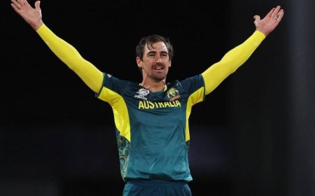 আন্তর্জাতিক টি-টোয়েন্টি থেকে অবসর স্টার্কের