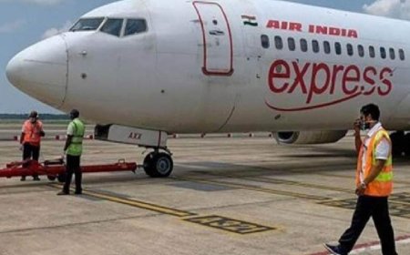 এয়ার ইন্ডিয়ার বিমানে ঈগলের ধাক্কা, আতঙ্কে যাত্রীরা