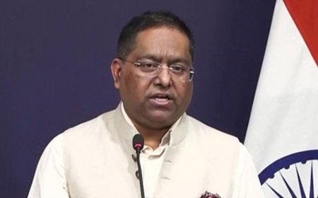 নাভারোর মন্তব্য শুধু মিথ্যা নয়, বিভ্রান্তিকর, ট্রাম্পের সহযোগীর মন্তব্য উড়িয়ে কড়া জবাব দিল্লির