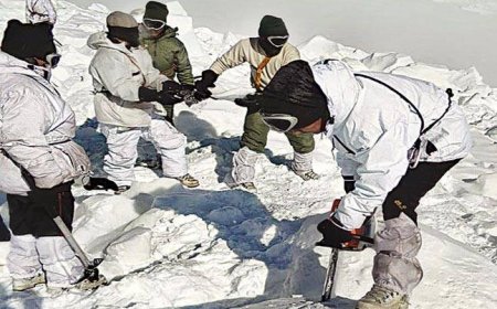 সিয়াচেনে ভারতীয় সেনার ছাউনির কাছে তুষারধস, মৃত ৩ জওয়ান