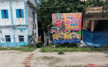 ফুচকা দিয়ে পুজো মণ্ডপ তৈরি হচ্ছে কাকদ্বীপে