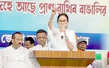 নেপালে আটকে পড়া পর্যটকদের আশ্বাস দিলেন মমতা বন্দ্যোপাধ্যায়