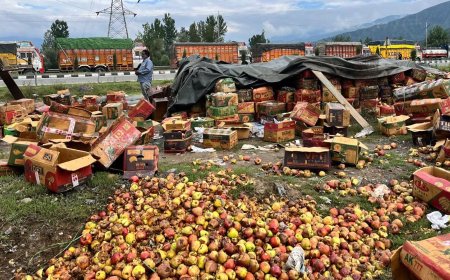 বন্ধ কাশ্মীরের হাইওয়ে, ট্রাকেই পচল ৭০০ কোটির আপেল