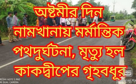 অষ্টমীর দিন ঠাকুর দেখে বাড়ি ফেরার পথে মর্মান্তিক পথদুর্ঘটনা, মৃত্যু হল এক গৃহবধূর