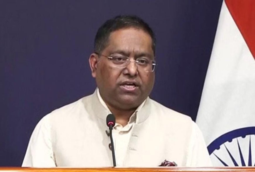 নাভারোর মন্তব্য শুধু মিথ্যা নয়, বিভ্রান্তিকর, ট্রাম্পের সহযোগীর মন্তব্য উড়িয়ে কড়া জবাব দিল্লির