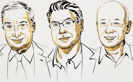 নয়া দিশা দেখিয়ে অর্থনীতিতে নোবেল পেলেন তিন গবেষক