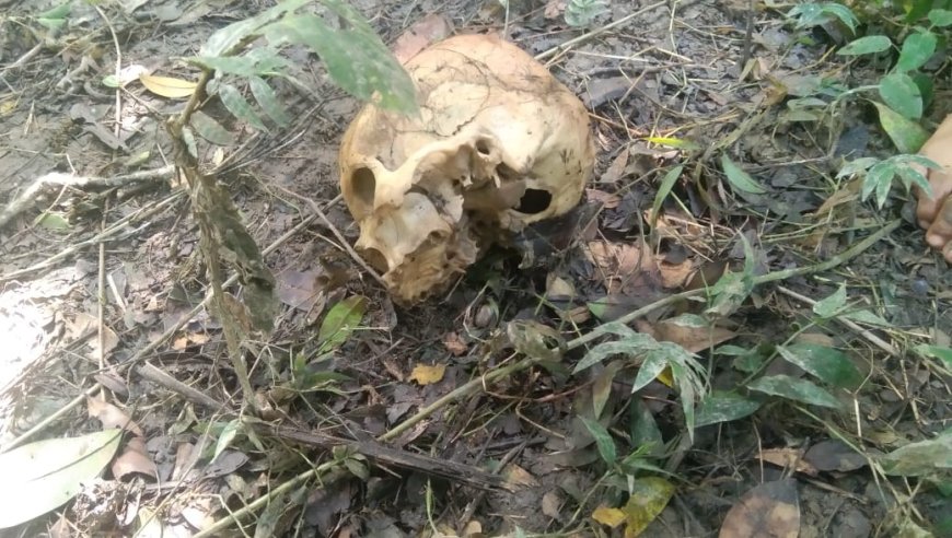 সুপারি বাগান থেকে মানুষের খুলি ও কঙ্কাল উদ্ধার করে চাঞ্চল্য ছড়ালো বারুইপুর এলাকায়।