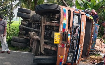 নিয়ন্ত্রণ হারিয়ে উল্টে গেল চাল বোঝাই লরি, আহত চালক