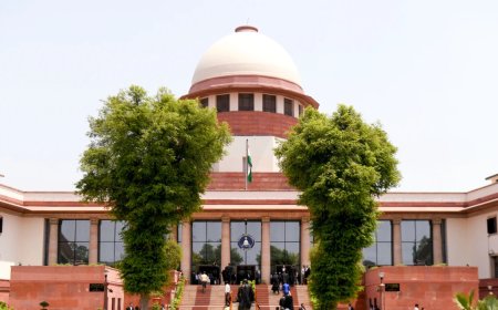 ‘জঙ্গি কার্যকলাপে অভিযুক্তকে জামিন নয়’, কড়া বার্তা সুপ্রিম কোর্টের