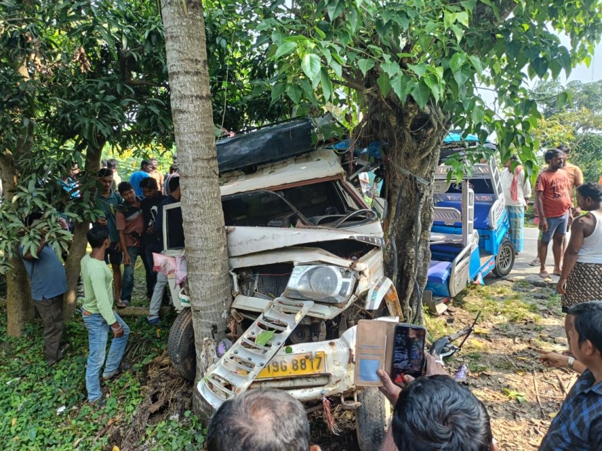 ভয়াবহ পথ দুর্ঘটনা, গুরুতর আহত দুই পড়ুয়া সহ টোটো চালক