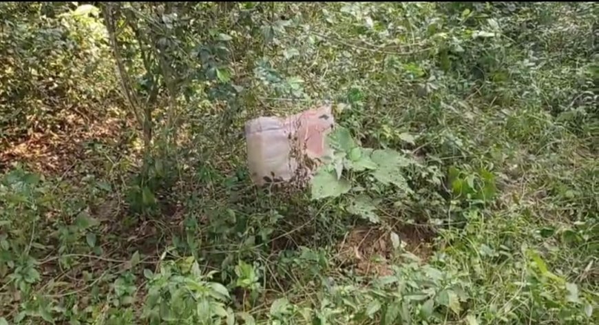 খেলার মাঠের পাশের জঙ্গল থেকে তাজা বোমা উদ্ধার, ঘটনায় চাঞ্চল্য