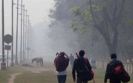 ১০ ডিগ্রির নীচে নামবে পারদ, বাংলায় জাঁকিয়ে শীতের দাপট