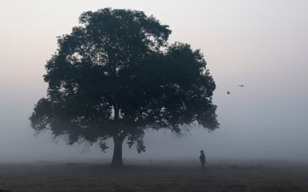 ১০ ডিগ্রির নীচে নামছে তাপমাত্রা, দক্ষিণ ও উত্তরবঙ্গে শীতের দাপট বাড়লেও জাঁকিয়ে শীত এখনও দূরে