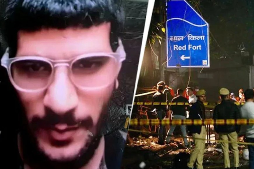 দিল্লিতে বিস্ফোরণের আগে জঙ্গলে বোমা পরীক্ষা করেন জেহাদি ডাক্তার, চাঞ্চল্যকর তথ্য তদন্তকারীদের