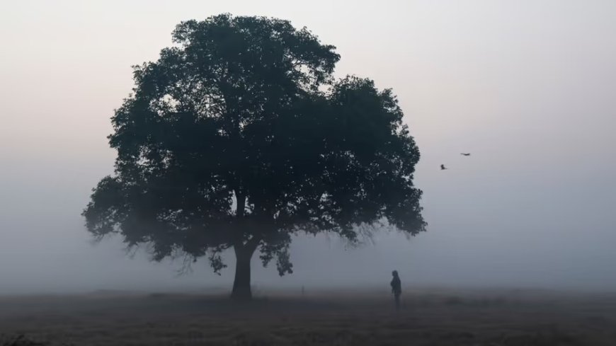 ১০ ডিগ্রির নীচে নামছে তাপমাত্রা, দক্ষিণ ও উত্তরবঙ্গে শীতের দাপট বাড়লেও জাঁকিয়ে শীত এখনও দূরে
