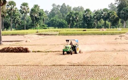 ক্ষুদ্র কৃষকদের আর্থিক সচ্ছলতা ফেরাতে রায়দিঘিতে বিশেষ প্রশিক্ষণ ও কৃষি সরঞ্জাম প্রদান।