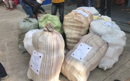 বিস্কুটের প্যাকেটের আড়ালে ৩১৫ কেজি গাঁজা উদ্ধার, ধৃত ২