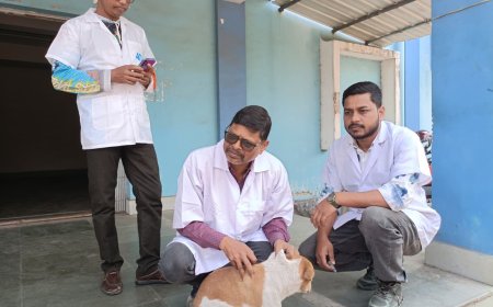 পথ পুকুর ও বিড়ালদের দেওয়া হল জলাতঙ্ক রোগের ভ্যাকসিন