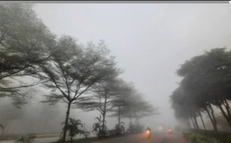 দিনে গরম, রাতে ঠান্ডা—শীতের বিদায় ঘনাচ্ছে বাংলায়, কী বলছে আবহাওয়া দফতর