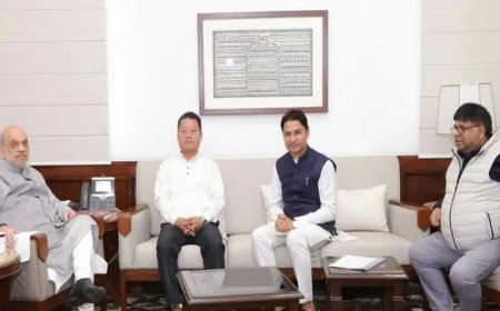 আবারও বিমল গুরুং-ই ভরসা বিজেপির, অমিত শাহের সঙ্গে বৈঠক ঘিরে জল্পনা