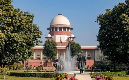 গুটখার পিকে লাল সুপ্রিম কোর্ট, জারি নির্দেশিকা