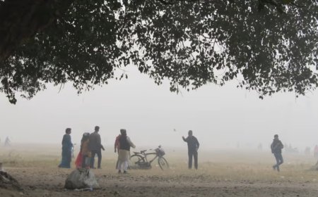 ফেব্রুয়ারিতেই ফ্যানের হাওয়া, ৩১ ডিগ্রির পথে পারদ! নিম্নচাপের জেরে কি ভিজবে রাজ্য?